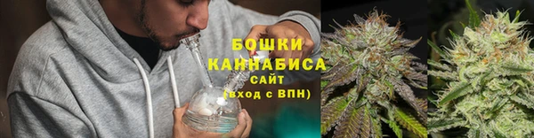 соль ск Медногорск