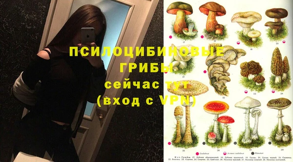 герыч Михайлов