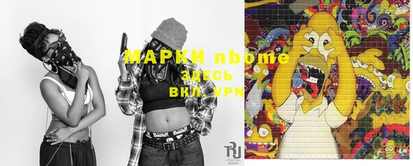 соль ск Медногорск